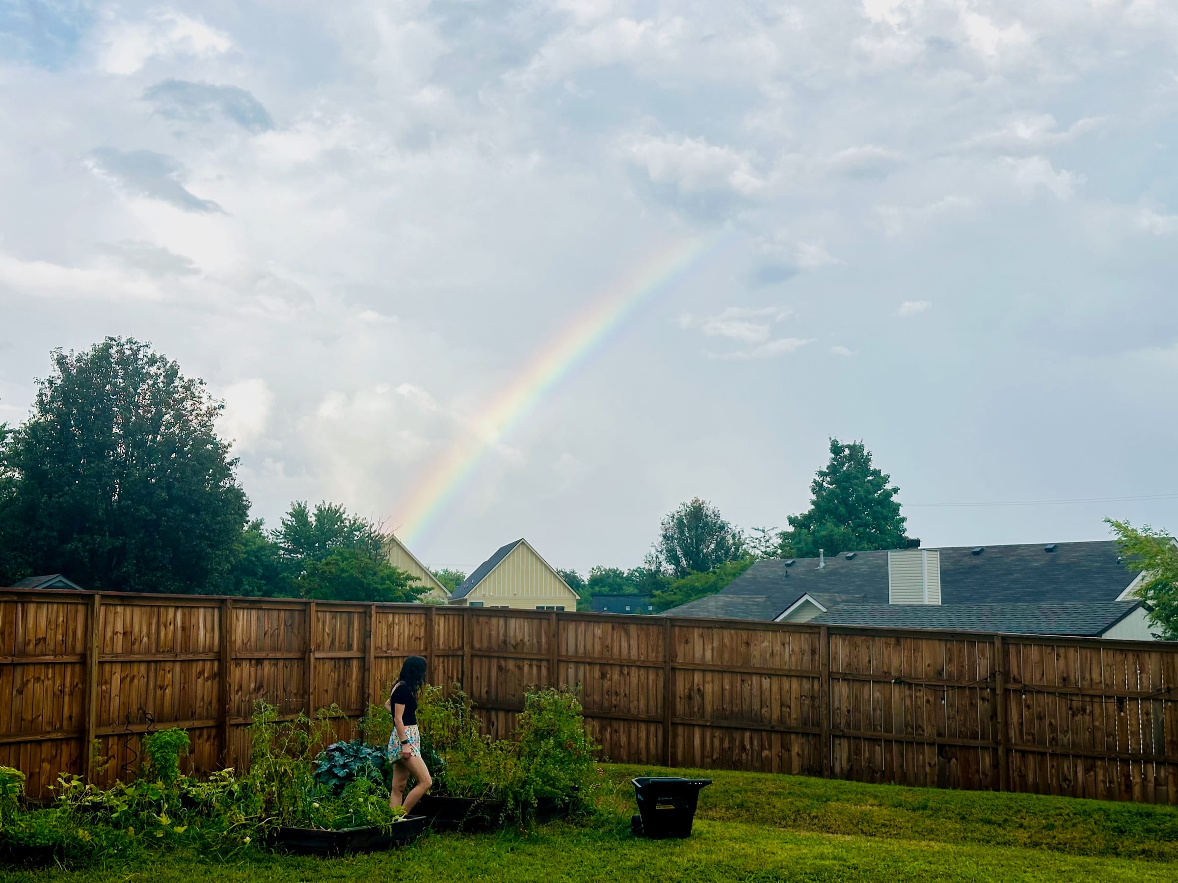 Lush green grassland at dusk with distant mountains
